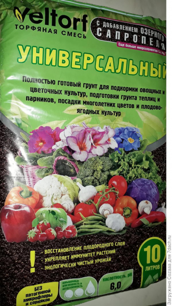 Нипочём зима и стужа, огород мне очень нужен!