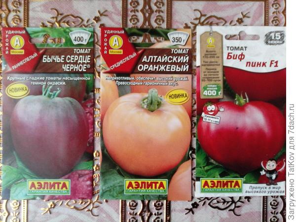 Семена овощей на 2021 год. Фото