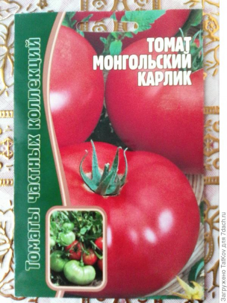 Семена овощей на 2021 год. Фото