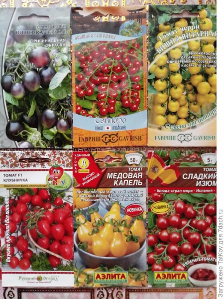 Семена овощей на 2021 год. Фото