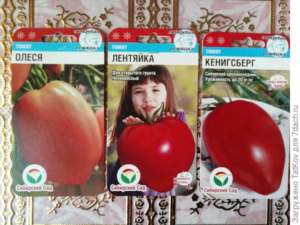 Семена овощей на 2021 год. Фото