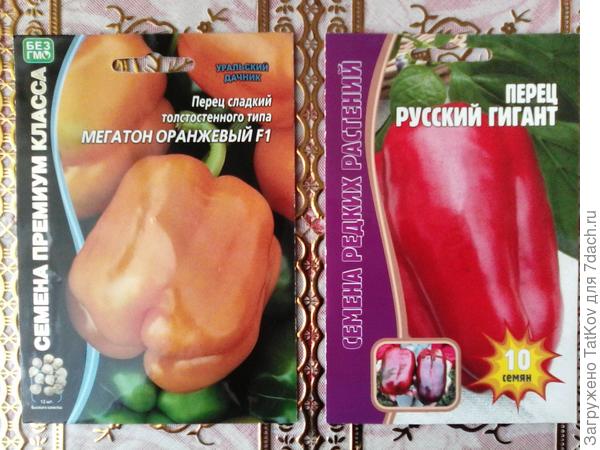 Семена овощей на 2021 год. Фото