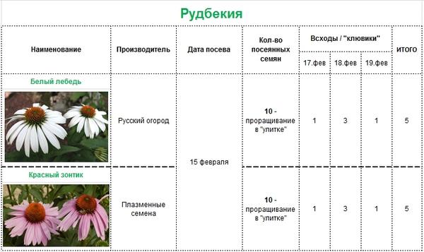 Выращивание рассады цветов и овощей в домашних условиях: планирование посевов, всходы, развитие растений
