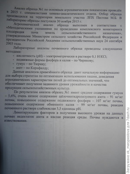 Поэма об удобрениях на моем огороде