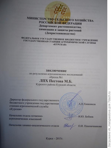 Поэма об удобрениях на моем огороде