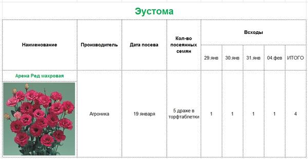 Выращивание рассады цветов и овощей в домашних условиях: планирование посевов, всходы, развитие растений